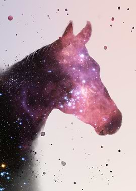 Horse nebula