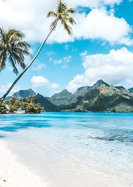 Moorea Beach Bliss