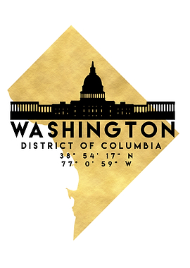Washington DC Map Skyline