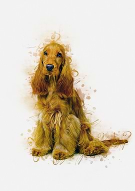 English Cocker Spaniel