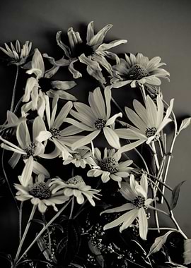 Autumn garden flowers