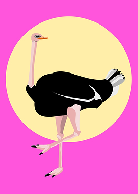 ostrich