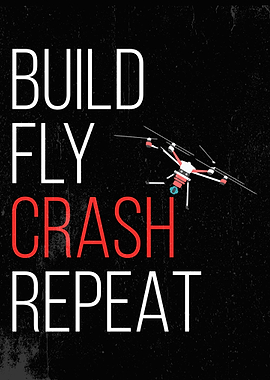 DRONE PILOT FUNNY POSTER