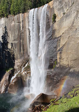 Waterfall Sequoia