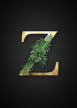 Alphabet z