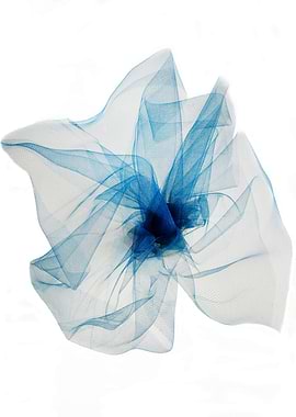 Blue veil flower