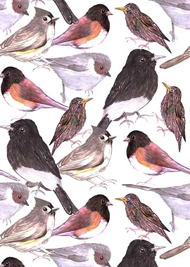 Wild birds watercolor