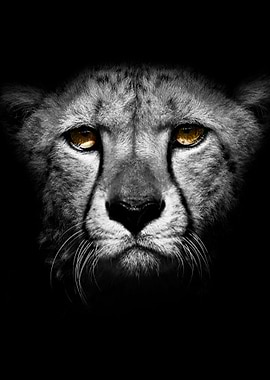 wild jaguar head poster