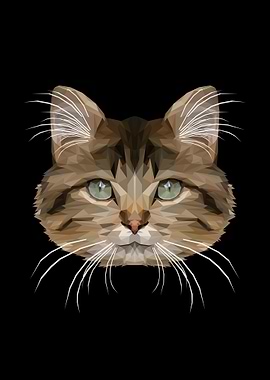 LOW POLYGON CAT