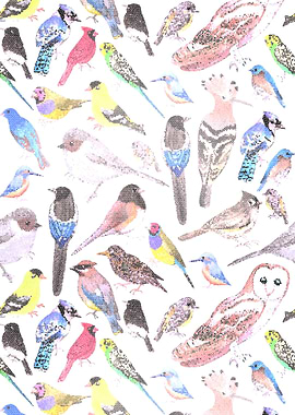 Birds of America stained