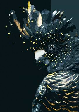 black cockatoo poster