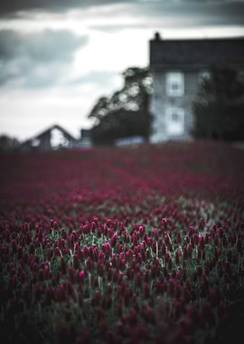 Farmhouse Barn Flowers