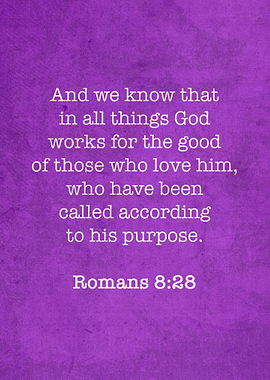 Romans 828 Iconic Bible