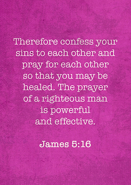 James 516 Iconic Bible