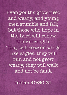 Isaiah 4031 Iconic Bible