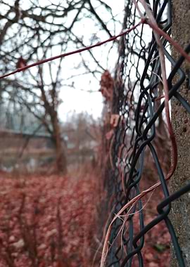 Herbstabend in Deutschland