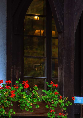 The light in the window