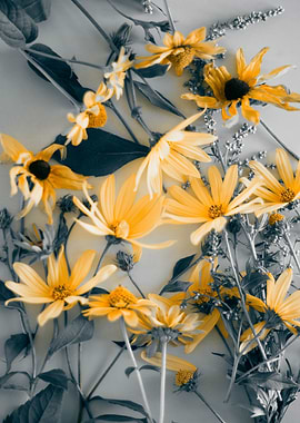 Yellow Coneflowers
