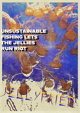 Jellyfish
