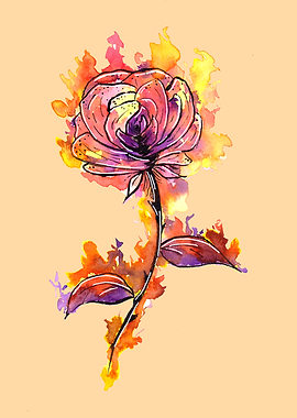 Burning Rose