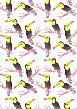 Keel billed Toucan bird
