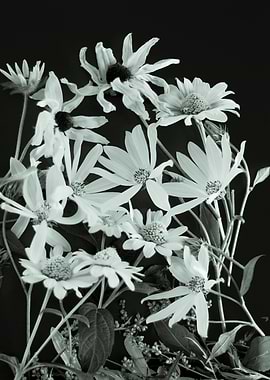 Abstract floral background