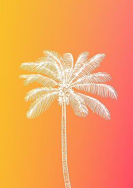 White palm sunset