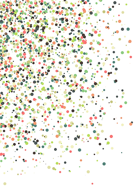 Colorful Universe Distribu