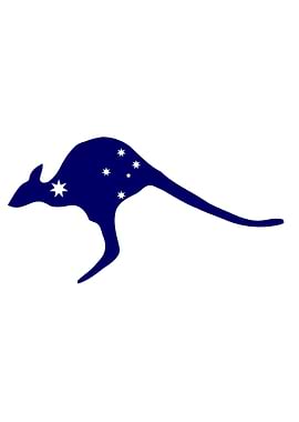 Kangaroo With Flag Stars