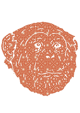 Monkey Head Pattern