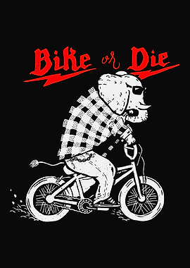 Bike or Die