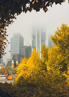 Misty Frankfurt