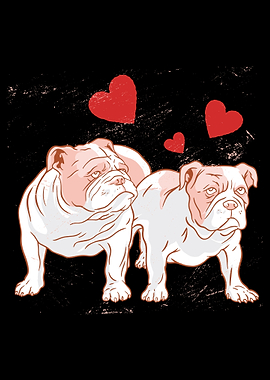 Bulldog in Love
