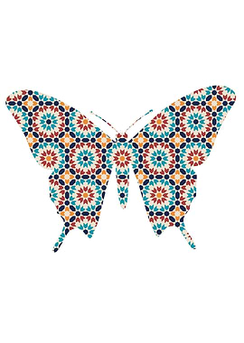 Butterfly Pattern