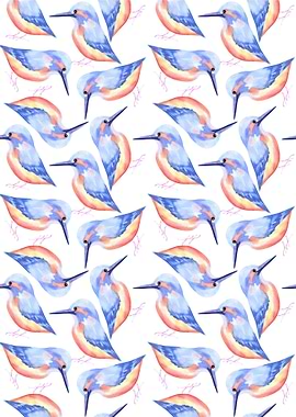 Common Kingfisher bird