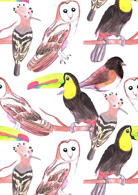 toucans juncos hoopoe