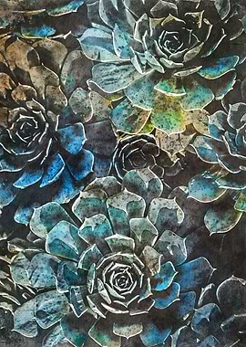 Suculents flora art