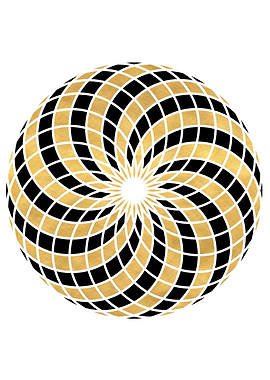 Torus Black and Gold