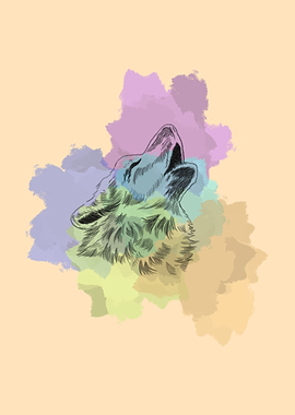 Fox Sketch illustration