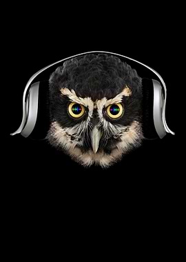 Owl in headphones