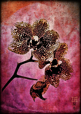 Orchids Eternal II