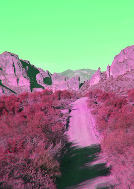 Tortilla Flats Roadway 02