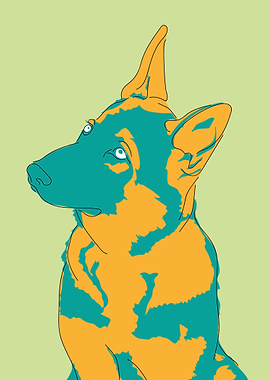 Colour German Shepherd