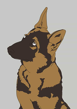 German Shepherd