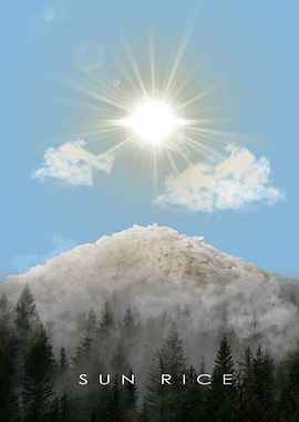 Sun Rice