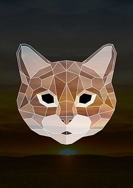 Geometric Cat