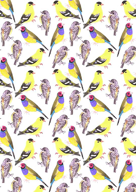 Yellow birds watercolor