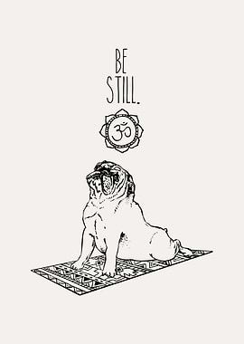 English Bulldog be still
