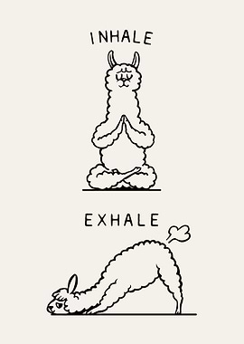 Inhale Exhale Llama