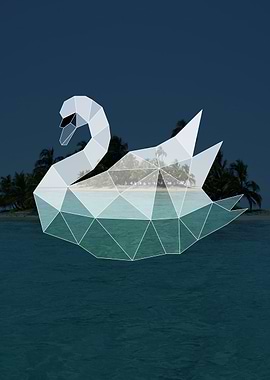Geometric Swan